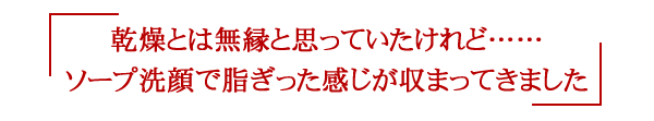 乾燥とは無縁と思っていたけれど……ソープ洗顔で脂ぎった感じが収まってきました